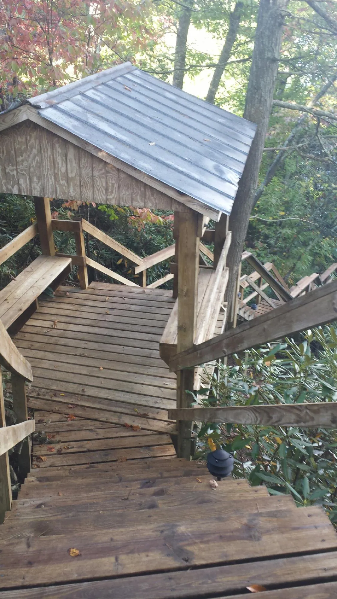 Metal roofed shelter over wooden steps on a wooded walkway — Skylight Repair & Installation work by our crew in Elm Mott